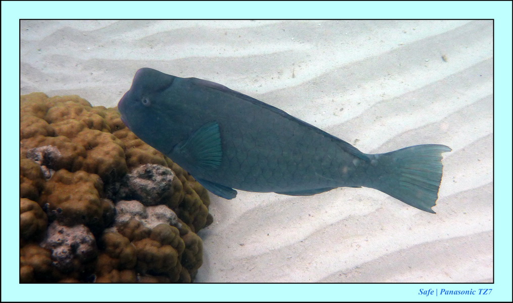 2009   07   Matakin 54